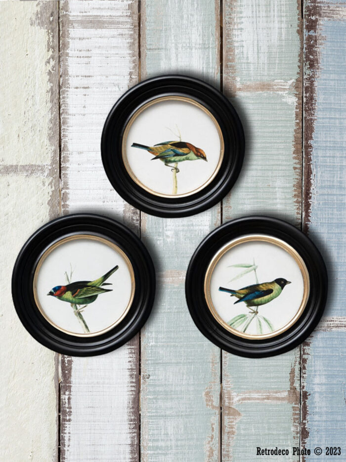 Set de 3 cadres oiseaux déco campagne Chehoma