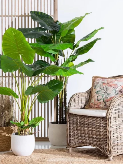 Plante artificielle Philodendron haut Ixia